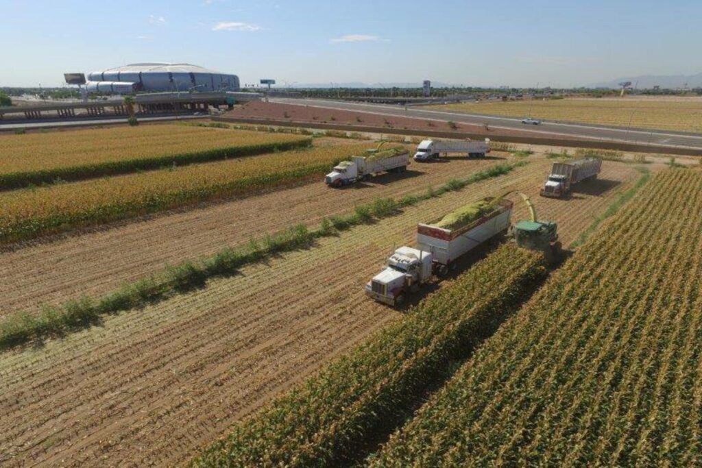 Maricopa County Farm Bureau doing agriculture work